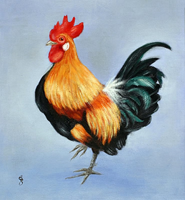 Cockerel on One Leg 24"x24" Oil on Canvas by John Damari
